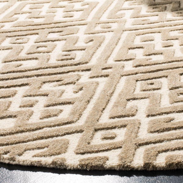 Safavieh Cambridge 401 Hand Tufted Wool Rug CAM401A-3