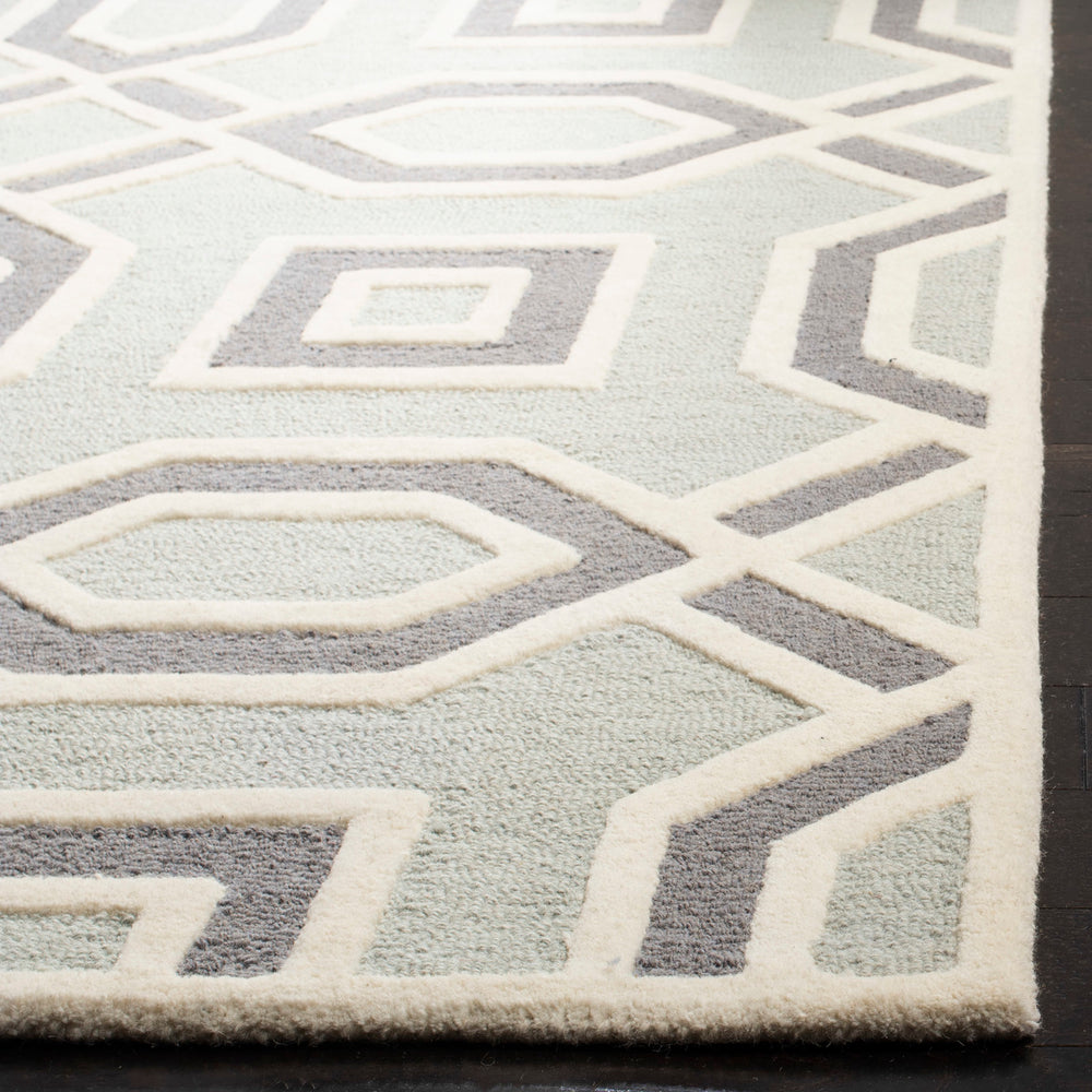 Safavieh Cambridge 723 Hand Tufted Wool Rug CAM723G-28