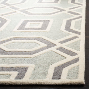 Safavieh Cambridge 723 Hand Tufted Wool Rug CAM723G-28