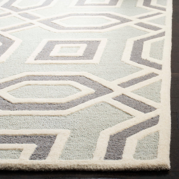 Safavieh Cambridge 723 Hand Tufted Wool Rug CAM723G-28