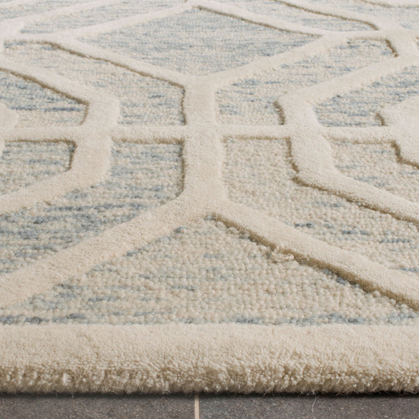 Safavieh Cambridge 726 Hand Tufted Wool Rug CAM726B-3