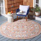 Safavieh Cabana 680 Power Loomed Polypropylene Transitional Rug CBN680B-9