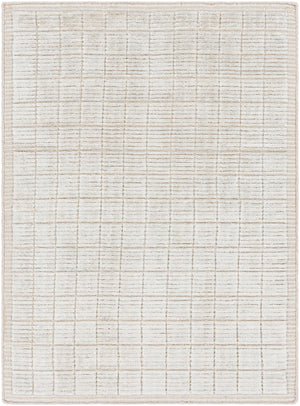 Carre CCR-2300 Modern Viscose, Wool Rug CCR2300-81012 Beige, Cream 70% Viscose, 30% Wool 8'10" x 12'