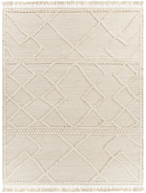 Cadiz CDZ-2303 Global Wool Rug CDZ2303-81012 Beige, Taupe, Cream 100% Wool 8'10" x 12'