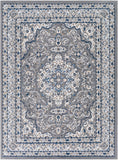 Cesar CEG-2316 Traditional Polypropylene Rug