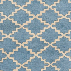 Safavieh Chatham CHT930 Hand Tufted Rug
