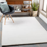 Celeste CLS-2301 Modern Poly Acrylic Rug CLS2301-7610 Ivory 100% Poly Acrylic 7'6" x 10'