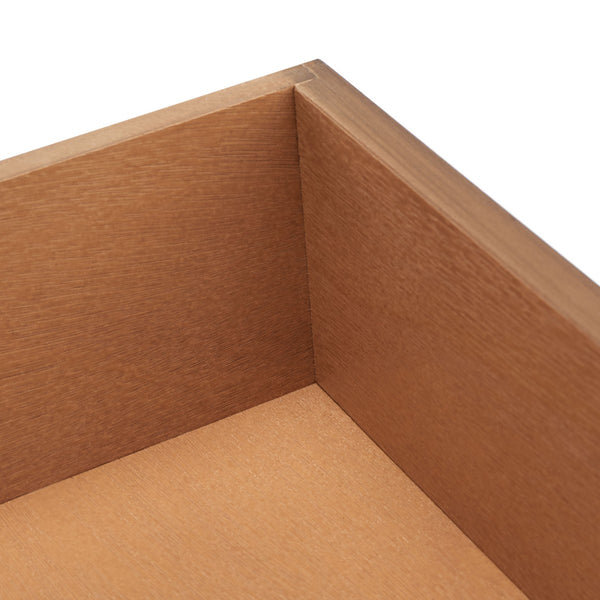 Safavieh Athena 2 Drawer Console Table CNS5702C