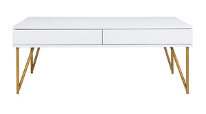 Safavieh Pine Two Drawer Coffee Table White Gold Wood COF2238C