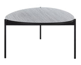 Safavieh Sven Coffee Table in Dark Grey and Black COF4203A 889048767195