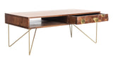 Safavieh Raveena Coffee Table in Natural and Brass COF9002A 889048721210