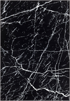Contempo CPO-3858 Modern Polypropylene Rug CPO3858-91210 Black, White 100% Polypropylene 9' x 12'10"