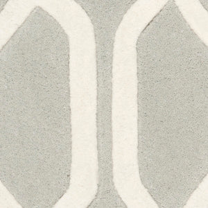 Safavieh Capri CPR343 Hand Tufted Rug