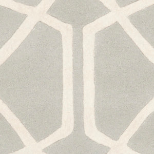 Safavieh Capri CPR343 Hand Tufted Rug