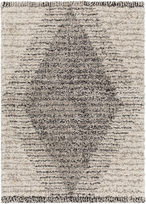 Surya Capella shag Global CPS-2300 Rug CPS2300-71010