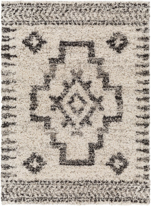 Surya Capella shag Global CPS-2302 Rug CPS2302-71010