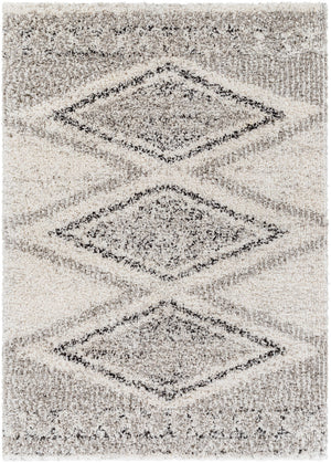 Surya Capella shag Global CPS-2304 Rug CPS2304-71010