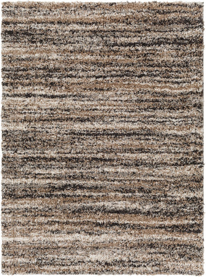 Surya Capella shag Modern CPS-2307 Rug CPS2307-71010