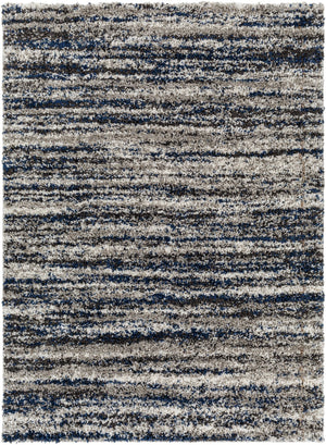 Surya Capella shag Modern CPS-2308 Rug CPS2308-71010