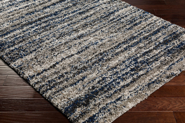 Surya Capella shag Modern CPS-2308 Rug CPS2308-71010