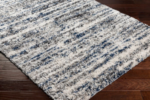 Surya Capella shag Modern CPS-2309 Rug CPS2309-71010