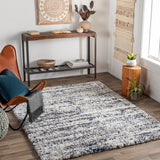 Surya Capella shag Modern CPS-2309 Rug CPS2309-71010