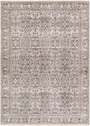 Surya Carlisle Traditional CSI-2301 Rug CSI2301-71010