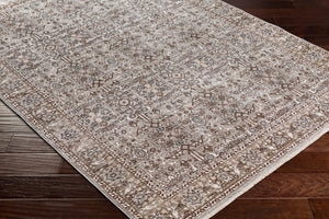 Surya Carlisle Traditional CSI-2301 Rug CSI2301-71010