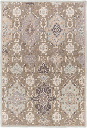 Castille CTL-2006 Traditional Wool Rug CTL2006-913 Taupe, Ice Blue, Charcoal, Medium Gray 100% Wool 9' x 13'