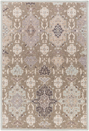 Castille CTL-2006 Traditional Wool Rug CTL2006-913 Taupe, Ice Blue, Charcoal, Medium Gray 100% Wool 9' x 13'