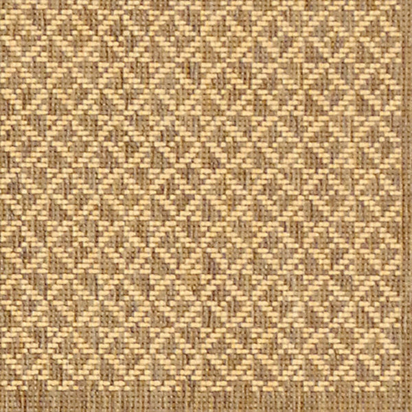 Safavieh Courtyard Cy1928 1E0 Power Loomed Rug