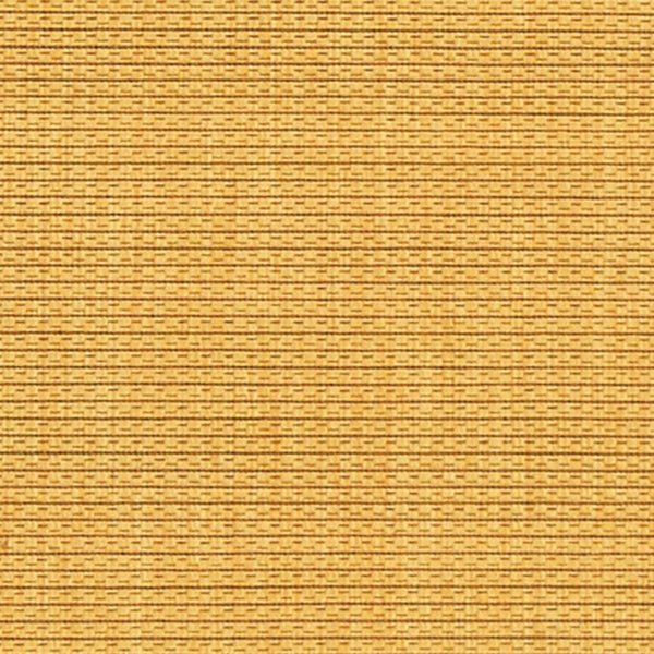 Safavieh Courtyard Cy2099 300 Power Loomed Rug