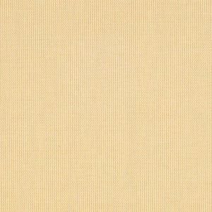 Safavieh Courtyard Cy2099 300 Power Loomed Rug