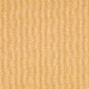 Safavieh Courtyard Cy2099 300 Power Loomed Rug