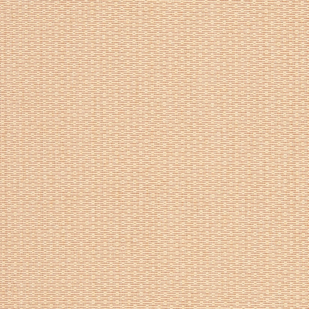 Safavieh Courtyard Cy6003 1 Power Loomed Rug