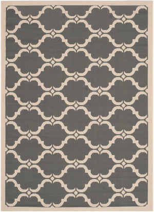 Safavieh Courtyard Cy6009 31 Power Loomed Rug