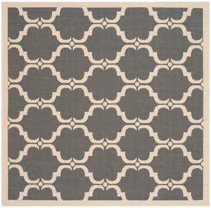 Safavieh Courtyard Cy6009 31 Power Loomed Rug