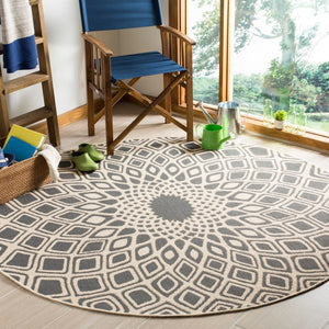 Safavieh Courtyard Cy6616 2562 Power Loomed Rug