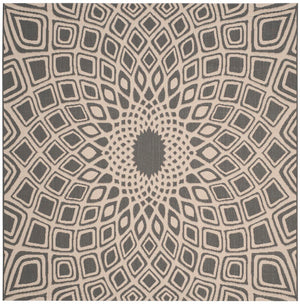 Safavieh Courtyard Cy6616 2562 Power Loomed Rug