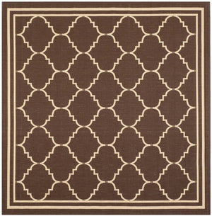 Safavieh Courtyard Cy6889 2 Power Loomed Rug