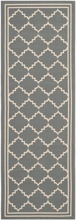 Safavieh Courtyard Cy6889 24 Power Loomed Rug
