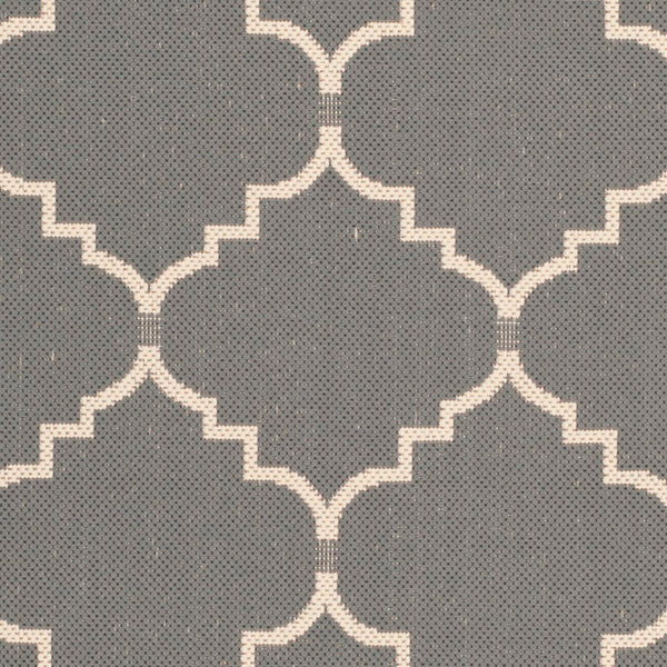 Safavieh Courtyard Cy6889 2 Power Loomed Rug