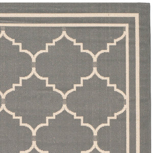 Safavieh Courtyard Cy6889 2 Power Loomed Rug