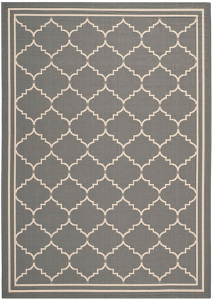 Safavieh Courtyard Cy6889 2 Power Loomed Rug