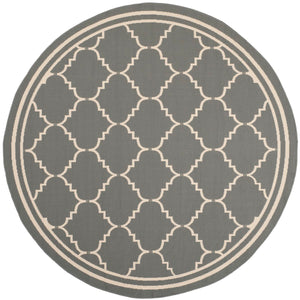 Safavieh Courtyard Cy6889 24 Power Loomed Rug