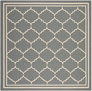 Safavieh Courtyard Cy6889 2 Power Loomed Rug