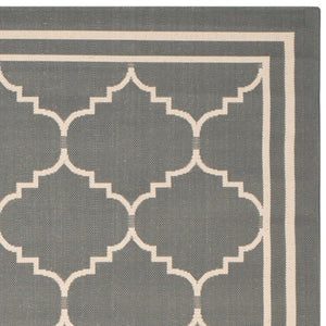 Safavieh Courtyard Cy6889 2 Power Loomed Rug