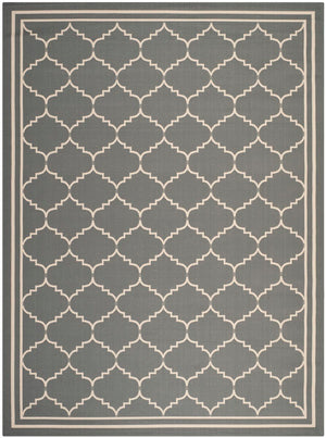 Safavieh Courtyard Cy6889 2 Power Loomed Rug