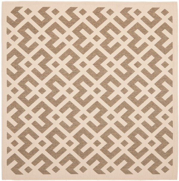 Safavieh Courtyard Cy6915 23 Power Loomed Rug
