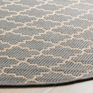 Safavieh Courtyard Cy6919 24 Power Loomed Rug